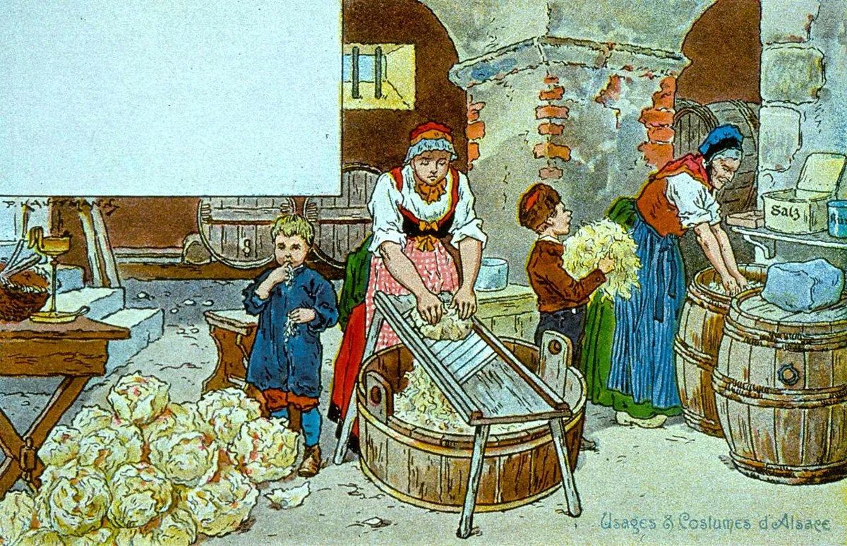 Fabricação da choucroute: as mulheres cortam o repolho e o guardam em barris. Ilustração de Paul Kauffmann, 1902.
